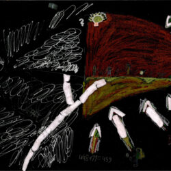 Michelle Scharnowski