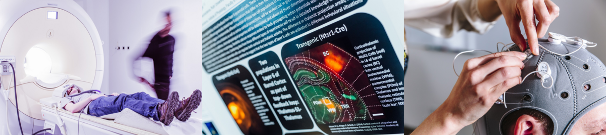 Three images: First, a person lying inside an MRI scanner. Second, a close-up of a scientific poster with brain imaging data. Third, a person undergoing an EEG setup with electrodes being placed on their head.