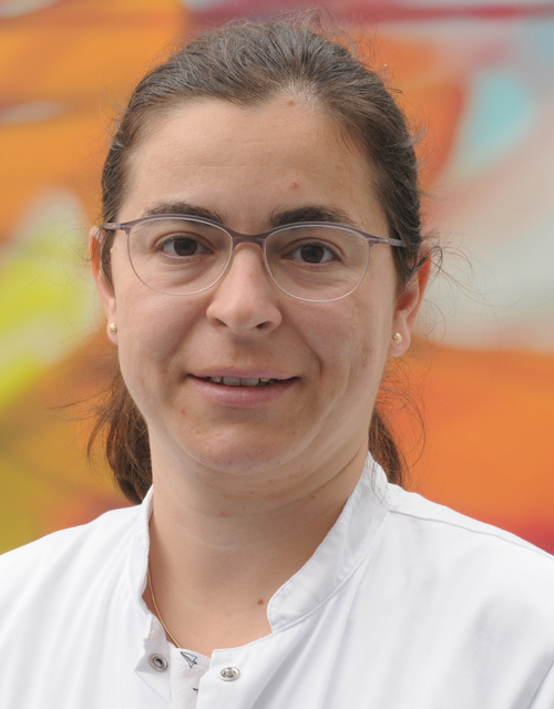 Jun.-Prof. Dr. Elena Enax-Krumova