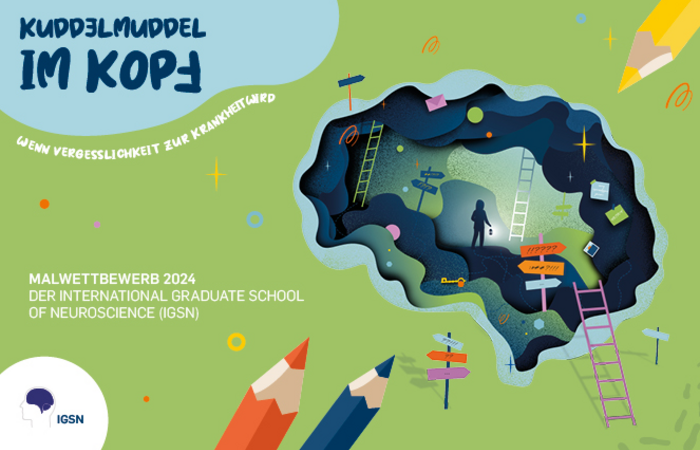 Colorful poster for a 2024 art competition by the International Graduate School of Neuroscience (IGSN), featuring a brain-shaped maze with scattered objects and a figure navigating inside, under the title 'Kuddelmuddel im Kopf.'