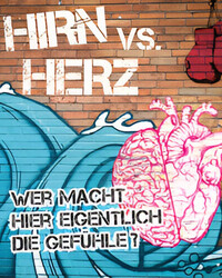 Street art mural depicting a heart riding waves with boxing gloves hanging above, accompanied by the text 'HIRN vs. HERZ' and 'Wer macht hier eigentlich die Gefühle?